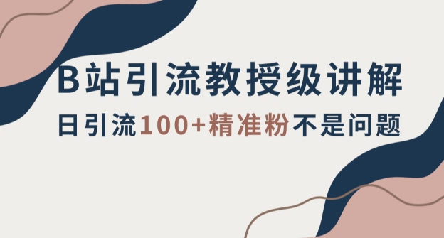 B站引流教授级讲解，细节满满，日引流100+精准粉不是问题【揭秘】网赚库-项目库-轻创网-中创网-福缘网-冒泡网-资源之家-魔方项目库网赚库
