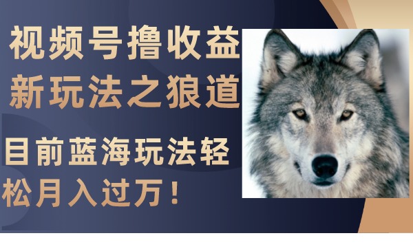 （8042期）视频号撸收益新玩法之狼道，目前蓝海玩法轻松月入过万！网赚库-项目库-轻创网-中创网-福缘网-冒泡网-资源之家-魔方项目库网赚库