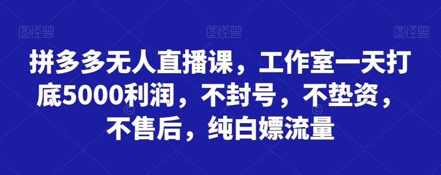 拼多多无人直播课，工作室一天打底5000利润，不封号，不垫资，不售后，纯白嫖流量网赚库-项目库-轻创网-中创网-福缘网-冒泡网-资源之家-魔方项目库网赚库