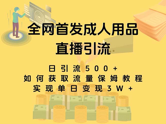（8193期）最新全网独创首发，成人用品直播引流获客暴力玩法，单日变现3w保姆级教程网赚库-项目库-轻创网-中创网-福缘网-冒泡网-资源之家-魔方项目库网赚库