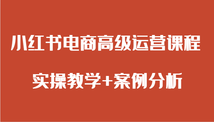 小红书电商高级运营课程 实操教学+案例分析网赚库-项目库-轻创网-中创网-福缘网-冒泡网-资源之家-魔方项目库网赚库