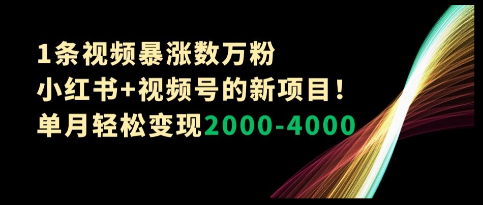 1条视频暴涨数万粉–小红书+视频号的新项目！单月轻松变现2000-4000【揭秘】网赚库-项目库-轻创网-中创网-福缘网-冒泡网-资源之家-魔方项目库网赚库
