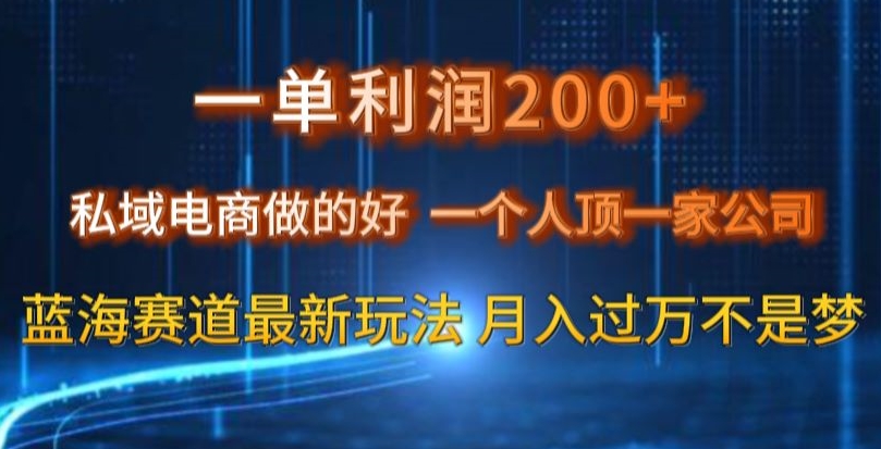 一单利润200私域电商做的好，一个人顶一家公司蓝海赛道最新玩法【揭秘】网赚库-项目库-轻创网-中创网-福缘网-冒泡网-资源之家-魔方项目库网赚库