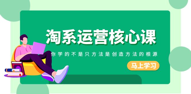 淘系运营核心课，你学的不只是方法而是创造方法的根源（190节课）网赚库-项目库-轻创网-中创网-福缘网-冒泡网-资源之家-魔方项目库网赚库