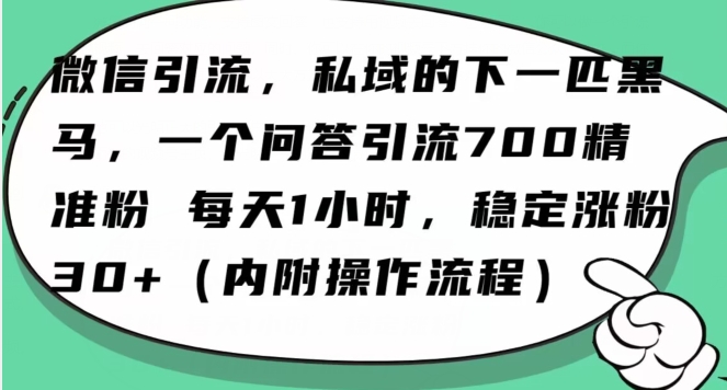 怎么搞精准创业粉？微信新赛道，每天一小时，利用Ai一个问答日引100精准粉网赚库-项目库-轻创网-中创网-福缘网-冒泡网-资源之家-魔方项目库网赚库