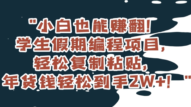 小白也能赚翻！学生假期编程项目，轻松复制粘贴，年货钱轻松到手2W+【揭秘】网赚库-项目库-轻创网-中创网-福缘网-冒泡网-资源之家-魔方项目库网赚库