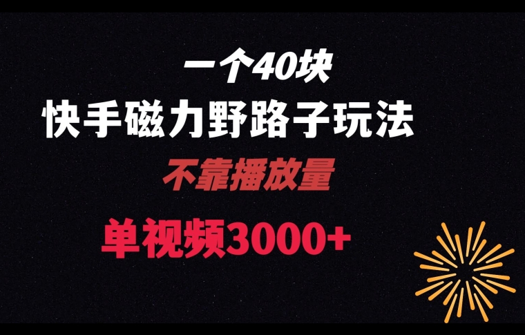 一个40块，快手联合美团磁力新玩法，无视机制野路子玩法，单视频收益4位数【揭秘】网赚库-项目库-轻创网-中创网-福缘网-冒泡网-资源之家-魔方项目库网赚库