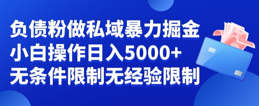 负债粉私域暴力掘金，小白操作入5000，无经验限制，无条件限制网赚库-项目库-轻创网-中创网-福缘网-冒泡网-资源之家-魔方项目库网赚库