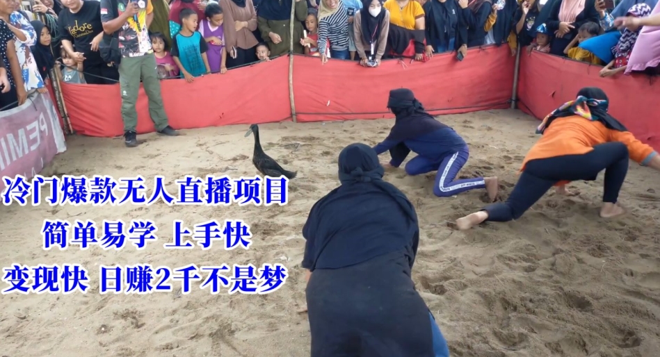 冷门爆款无人直播项目，简单易学上手快，变现快日赚2千不是梦网赚库-项目库-轻创网-中创网-福缘网-冒泡网-资源之家-魔方项目库网赚库