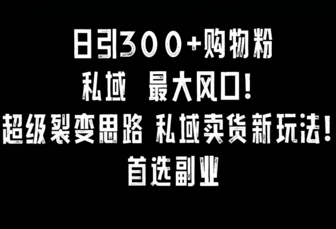 日引300+购物粉，超级裂变思路，私域卖货新玩法，小红书首选副业网赚库-项目库-轻创网-中创网-福缘网-冒泡网-资源之家-魔方项目库网赚库