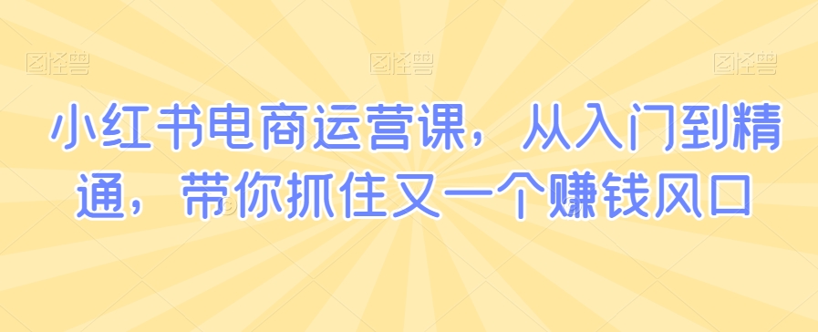 小红书电商运营课，从入门到精通，带你抓住又一个赚钱风口网赚库-项目库-轻创网-中创网-福缘网-冒泡网-资源之家-魔方项目库网赚库