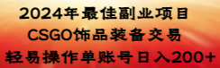 （8941期）2024年最佳副业项目 CSGO饰品装备交易 轻易操作单账号日入200+网赚库-项目库-轻创网-中创网-福缘网-冒泡网-资源之家-魔方项目库网赚库