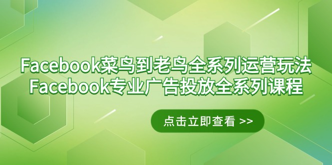 （9064期）Facebook-菜鸟到老鸟全系列运营玩法+Facebook-专业广告投放全系列课程网赚库-项目库-轻创网-中创网-福缘网-冒泡网-资源之家-魔方项目库网赚库
