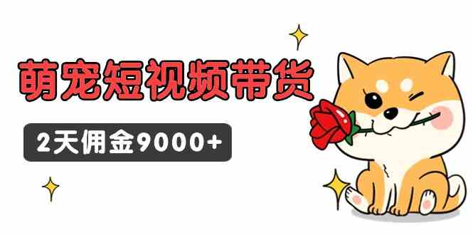 （9273期）东哲日记·萌宠短视频带货，2天佣金9000+网赚库-项目库-轻创网-中创网-福缘网-冒泡网-资源之家-魔方项目库网赚库