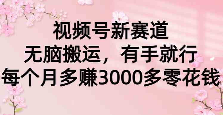 （9277期）视频号新赛道，无脑搬运，有手就行，每个月多赚3000多零花钱网赚库-项目库-轻创网-中创网-福缘网-冒泡网-资源之家-魔方项目库网赚库
