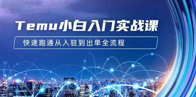 （9295期）Temu小白入门实战课：跨境拼多多电商培训 快速跑通从入驻到出单全流程-12节网赚库-项目库-轻创网-中创网-福缘网-冒泡网-资源之家-魔方项目库网赚库