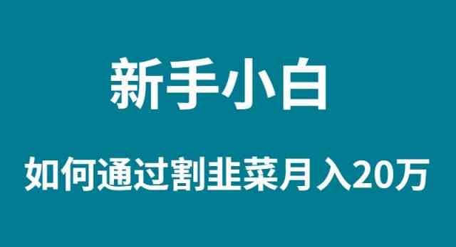 （9308期）新手小白如何通过割韭菜月入 20W网赚库-项目库-轻创网-中创网-福缘网-冒泡网-资源之家-魔方项目库网赚库