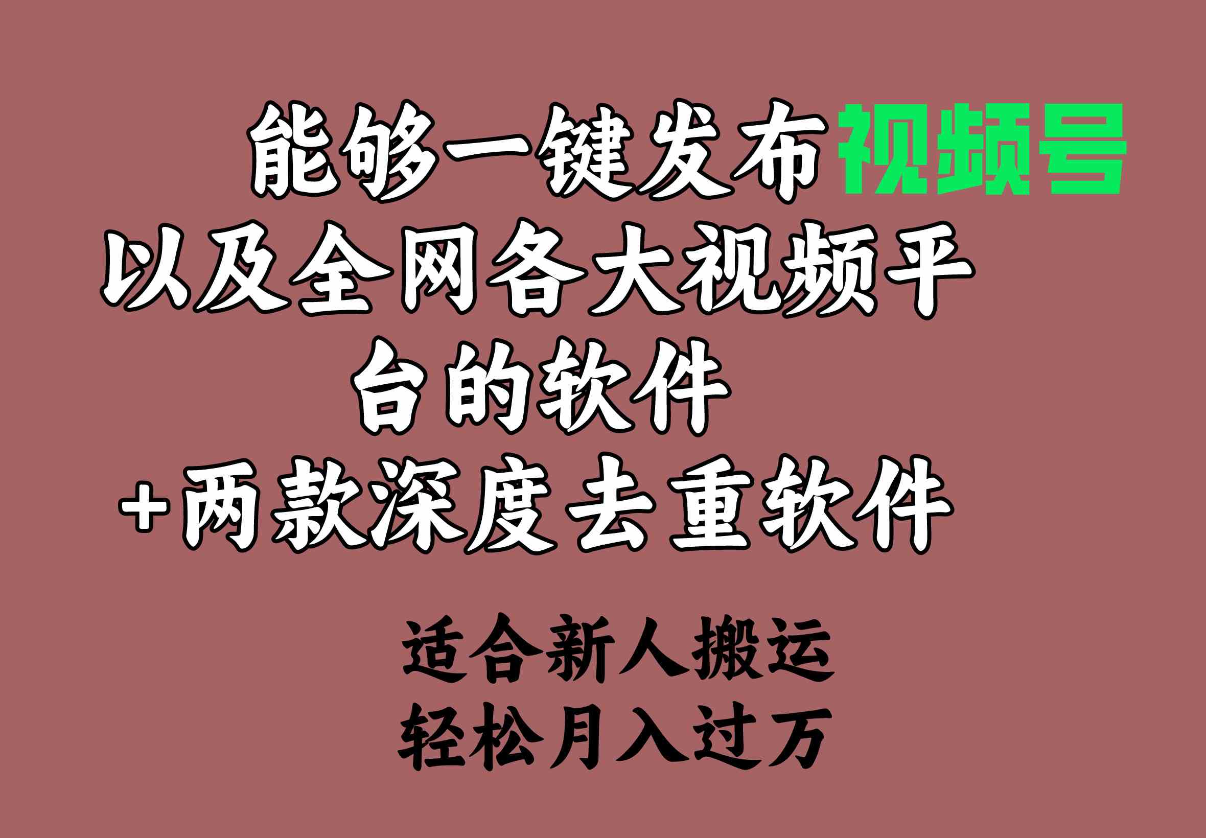 （9319期）能够一键发布视频号以及全网各大视频平台的软件+两款深度去重软件 适合…网赚库-项目库-轻创网-中创网-福缘网-冒泡网-资源之家-魔方项目库网赚库