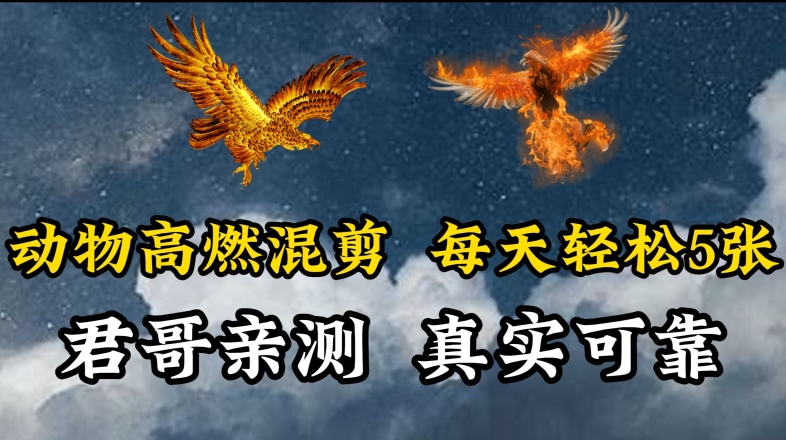 动物超燃混剪，每天轻松5张，剪辑简单大家爱看网赚库-项目库-轻创网-中创网-福缘网-冒泡网-资源之家-魔方项目库网赚库