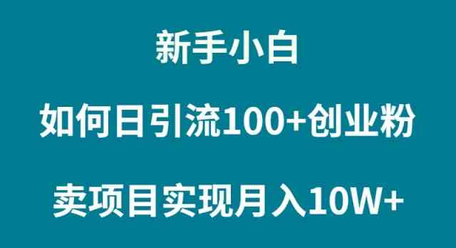 （9556期）新手小白如何通过卖项目实现月入10W+网赚库-项目库-轻创网-中创网-福缘网-冒泡网-资源之家-魔方项目库网赚库