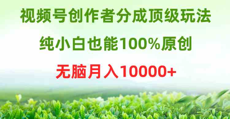 （9608期）视频号创作者分成顶级玩法，纯小白也能100%原创，无脑月入10000+网赚库-项目库-轻创网-中创网-福缘网-冒泡网-资源之家-魔方项目库网赚库