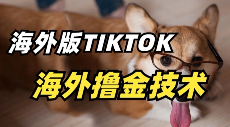 抖音海外版tiktok撸金技术，这个风口行业，赚钱真的不难网赚库-项目库-轻创网-中创网-福缘网-冒泡网-资源之家-魔方项目库网赚库