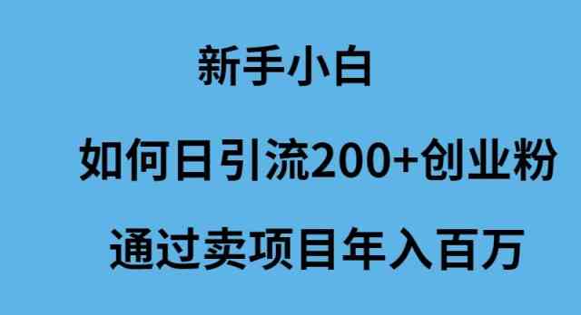 （9668期）新手小白如何日引流200+创业粉通过卖项目年入百万网赚库-项目库-轻创网-中创网-福缘网-冒泡网-资源之家-魔方项目库网赚库