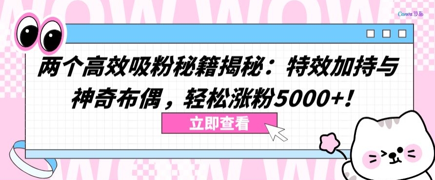 两个高效吸粉秘籍揭秘：特效加持与神奇布偶，轻松涨粉5000+网赚库-项目库-轻创网-中创网-福缘网-冒泡网-资源之家-魔方项目库网赚库