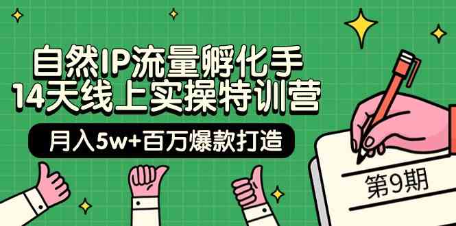 自然IP流量孵化手14天线上实操特训营【第9期】月入5w+百万爆款打造 (74节)网赚库-项目库-轻创网-中创网-福缘网-冒泡网-资源之家-魔方项目库网赚库