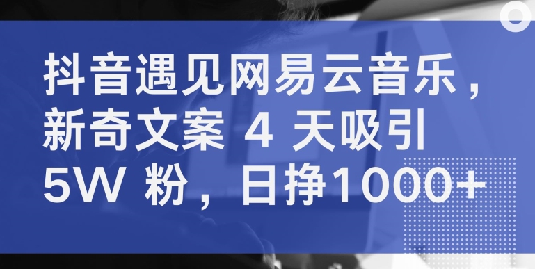 抖音遇见网易云音乐，新奇文案 4 天吸引 5W 粉，日挣1000+网赚库-项目库-轻创网-中创网-福缘网-冒泡网-资源之家-魔方项目库网赚库