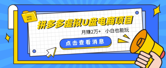 拼多多虚拟U盘电商红利项目：月赚2万+，新手小白也能玩网赚库-项目库-轻创网-中创网-福缘网-冒泡网-资源之家-魔方项目库网赚库