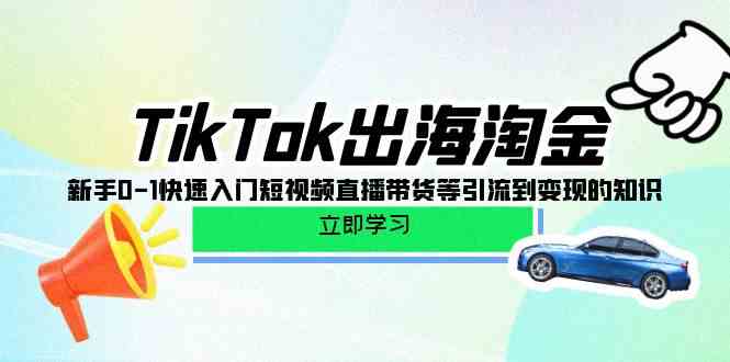 TikTok出海淘金，新手0-1快速入门短视频直播带货等引流到变现的知识网赚库-项目库-轻创网-中创网-福缘网-冒泡网-资源之家-魔方项目库网赚库