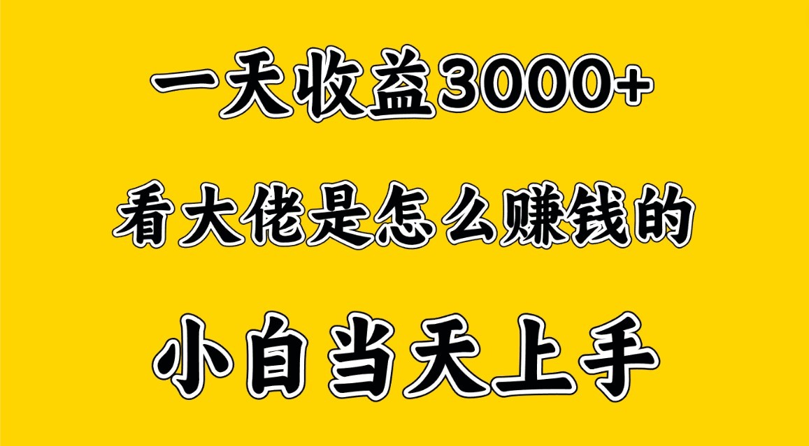 一天赚3000多，大佬是这样赚到钱的，小白当天上手，穷人翻身项目网赚库-项目库-轻创网-中创网-福缘网-冒泡网-资源之家-魔方项目库网赚库