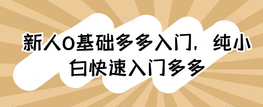 新人0基础多多入门，​纯小白快速入门多多网赚库-项目库-轻创网-中创网-福缘网-冒泡网-资源之家-魔方项目库网赚库