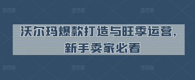 沃尔玛爆款打造与旺季运营，新手卖家必看网赚库-项目库-轻创网-中创网-福缘网-冒泡网-资源之家-魔方项目库网赚库