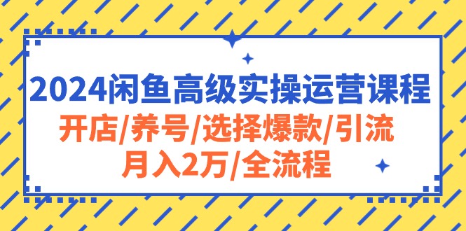 （10711期）2024闲鱼高级实操运营课程：开店/养号/选择爆款/引流/月入2万/全流程网赚库-项目库-轻创网-中创网-福缘网-冒泡网-资源之家-魔方项目库网赚库