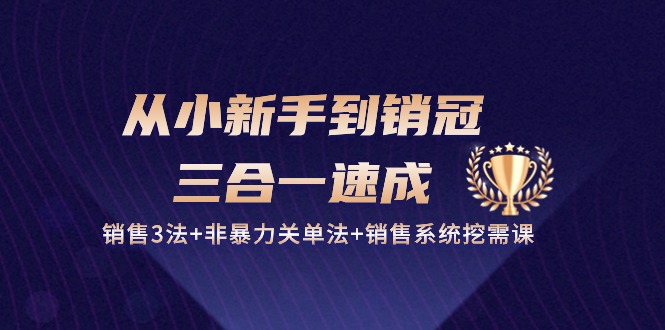 从小新手到销冠三合一速成：销售3法+非暴力关单法+销售系统挖需课 (27节)网赚库-项目库-轻创网-中创网-福缘网-冒泡网-资源之家-魔方项目库网赚库