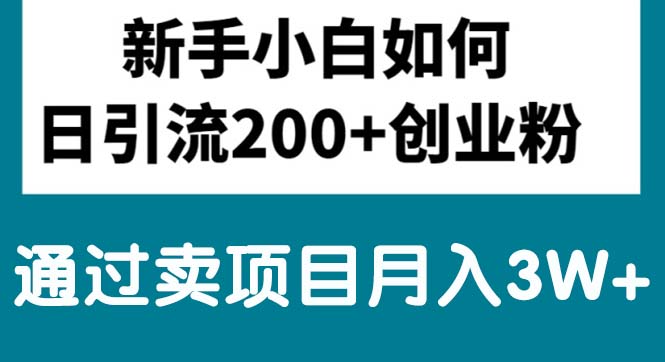 （10843期）新手小白日引流200+创业粉,通过卖项目月入3W+网赚库-项目库-轻创网-中创网-福缘网-冒泡网-资源之家-魔方项目库网赚库