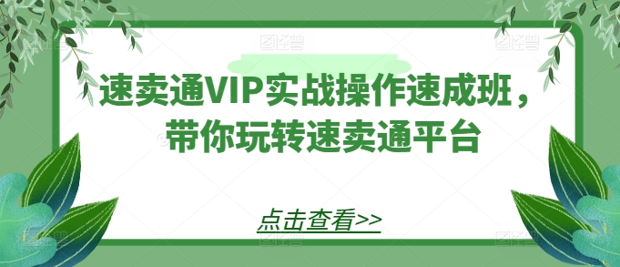 速卖通VIP实战操作速成班，带你玩转速卖通平台网赚库-项目库-轻创网-中创网-福缘网-冒泡网-资源之家-魔方项目库网赚库