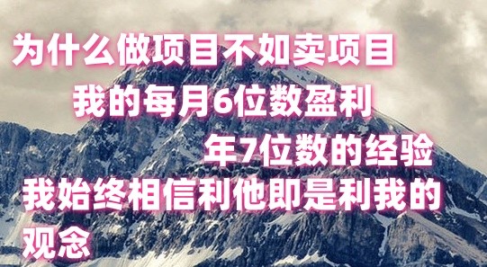 做项目不如卖项目，每月6位数盈利，年7位数经验网赚库-项目库-轻创网-中创网-福缘网-冒泡网-资源之家-魔方项目库网赚库