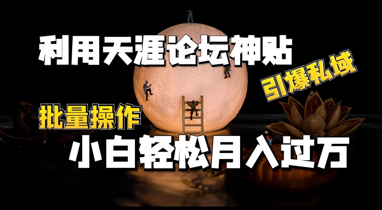 利用天涯论坛神贴，引爆私域，批量操作，小白轻松月入过w网赚库-项目库-轻创网-中创网-福缘网-冒泡网-资源之家-魔方项目库网赚库