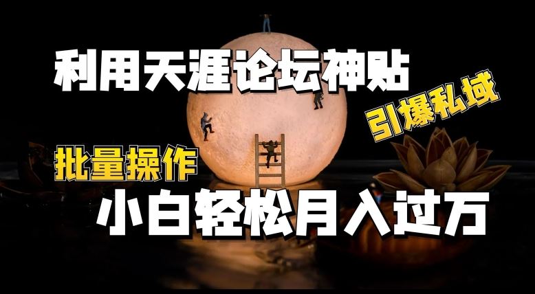 利用天涯论坛神贴，引爆私域，批量操作，小白轻松月入过w【揭秘】网赚库-项目库-轻创网-中创网-福缘网-冒泡网-资源之家-魔方项目库网赚库