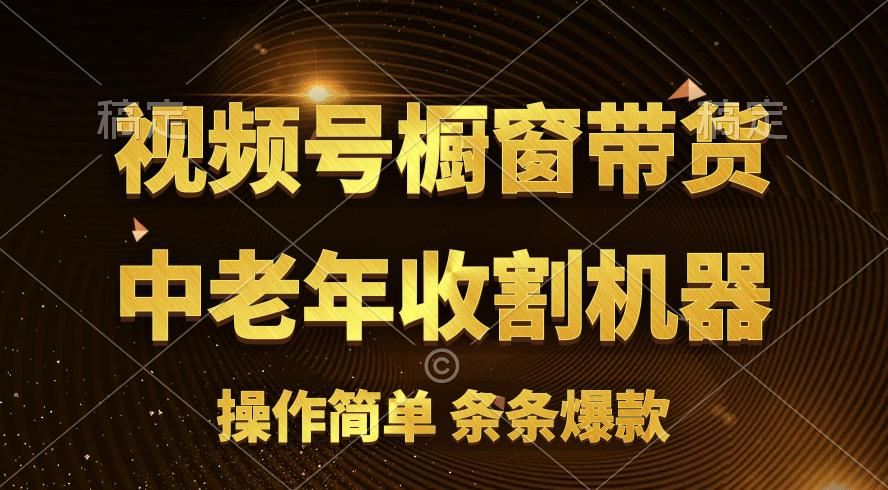 （11009期）[你的孩子成功取得高位]视频号最火爆赛道，橱窗带货，流量分成计划，条…网赚库-项目库-轻创网-中创网-福缘网-冒泡网-资源之家-魔方项目库网赚库