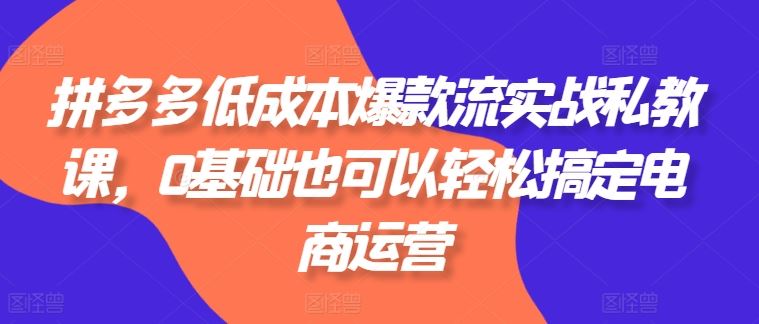拼多多低成本爆款流实战私教课，0基础也可以轻松搞定电商运营网赚库-项目库-轻创网-中创网-福缘网-冒泡网-资源之家-魔方项目库网赚库