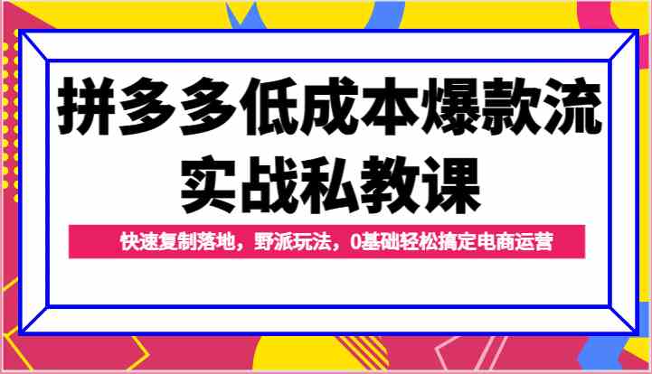 拼多多低成本爆款流实战私教课，快速复制落地，野派玩法，0基础轻松搞定电商运营网赚库-项目库-轻创网-中创网-福缘网-冒泡网-资源之家-魔方项目库网赚库