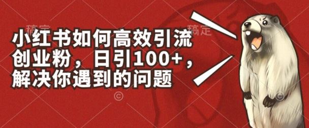 小红书如何高效引流创业粉，日引100+，解决你遇到的问题【揭秘】网赚库-项目库-轻创网-中创网-福缘网-冒泡网-资源之家-魔方项目库网赚库