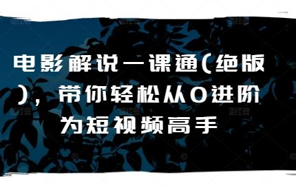 电影解说一课通(绝版)，带你轻松从0进阶为短视频高手网赚库-项目库-轻创网-中创网-福缘网-冒泡网-资源之家-魔方项目库网赚库