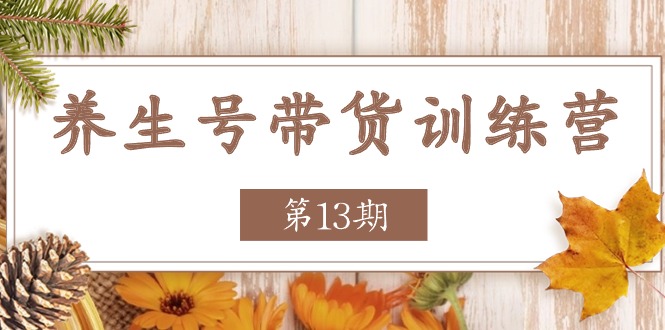 养生号带货训练营【第13期】收益更稳定的玩法，让你带货收益爆炸网赚库-项目库-轻创网-中创网-福缘网-冒泡网-资源之家-魔方项目库网赚库