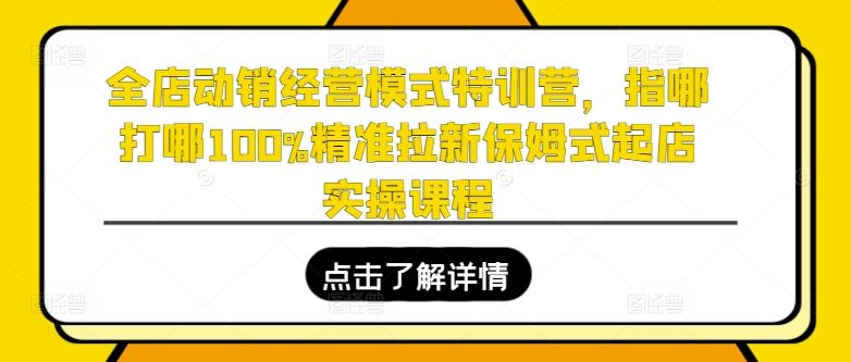 全店动销经营模式特训营，指哪打哪100%精准拉新保姆式起店实操课程网赚库-项目库-轻创网-中创网-福缘网-冒泡网-资源之家-魔方项目库网赚库