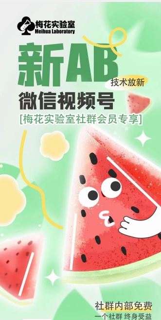 梅花实验室2024年AB技术视频号AB合成破解版网赚库-项目库-轻创网-中创网-福缘网-冒泡网-资源之家-魔方项目库网赚库